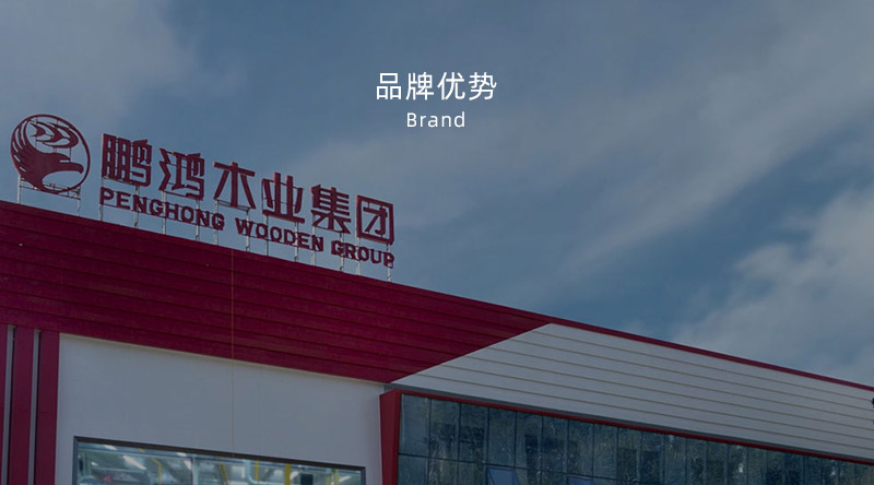 板材品牌、全屋定制品牌、生態(tài)板十大品牌